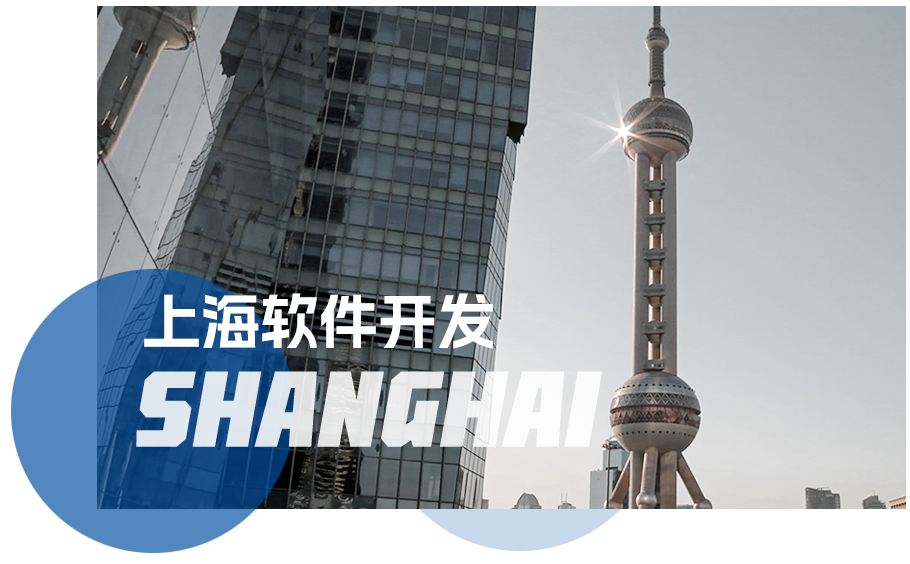 上海软件开发